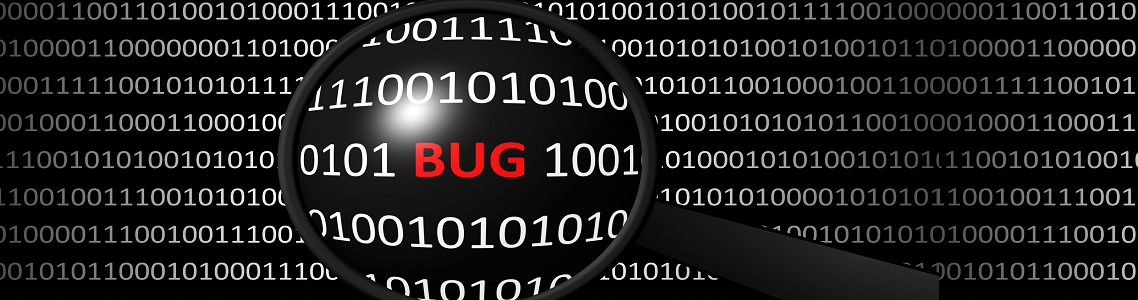 TIBSDEN Bug Bounty Program